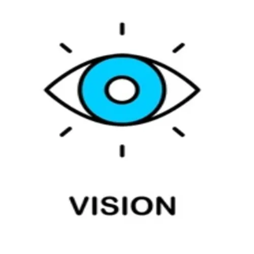 vision 7 500x500 1.webp